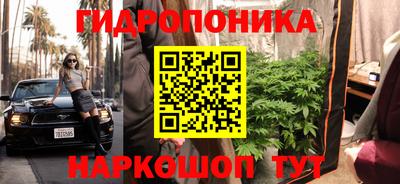 стафф Бийск