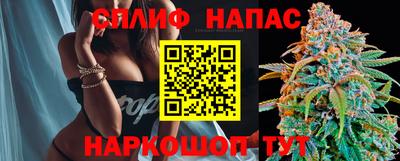 прущие грибы Апшеронск