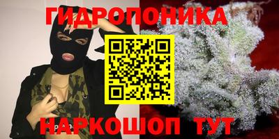 прущие грибы Апшеронск