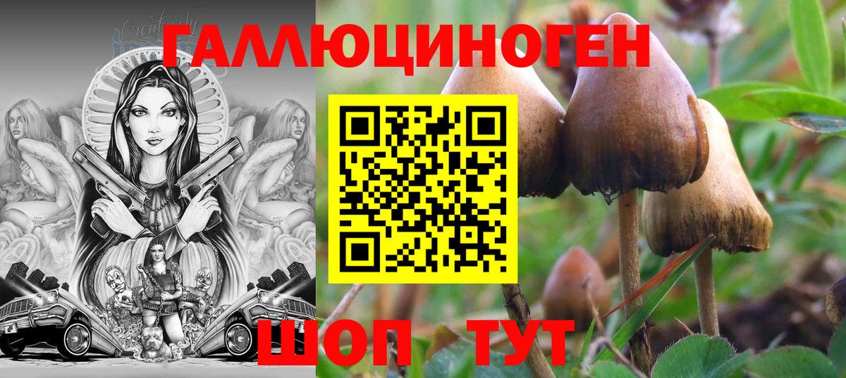 Псилоцибиновые грибы Psilocybine cubensis  Галлюциногенные грибы Psilocybine cubensis  Вичуга  Вход с VPN 